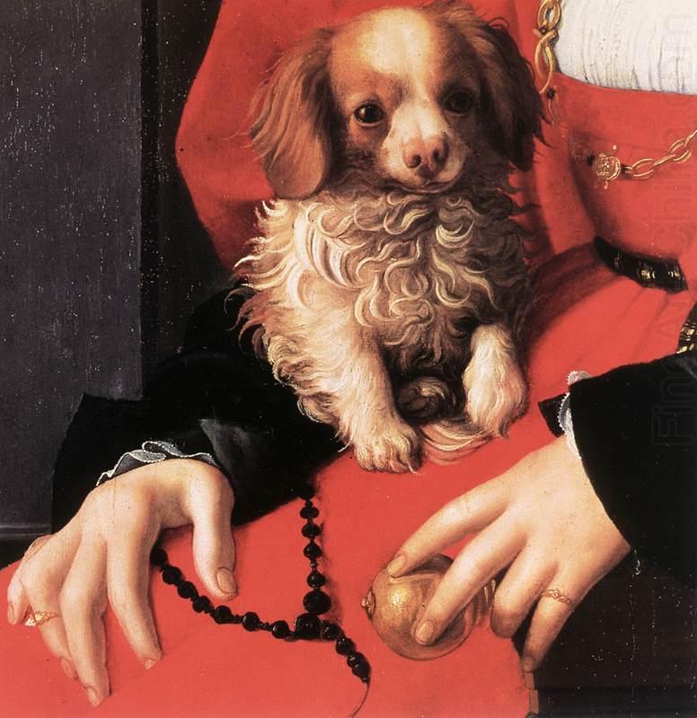 BRONZINO, Agnolo Portrait of a Lady with a Puppy (detail) fg china oil painting image